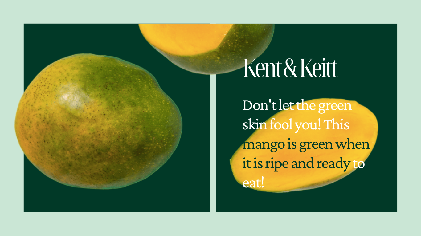 Product Catalog Website in Emerald Mint Green Black and White Aspirational Elegance Style